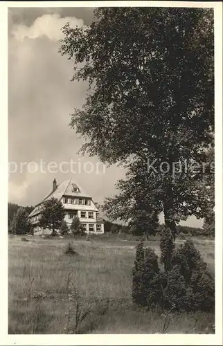 Saig Schwarzwald Pension Selfried Kat. Lenzkirch