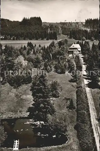 Saig Schwarzwald Pension Selfried Kat. Lenzkirch