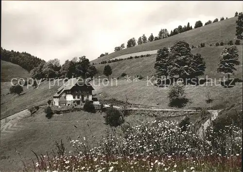 Wieden Schwarzwald Haus Albert Gutmann / Wieden /Loerrach LKR