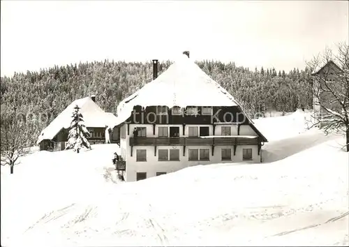 Lehen Todtmoos Jugenderholungsheim Liborihof Kat. Todtmoos