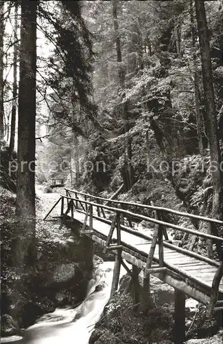 Todtmoos Rabenschlucht Waldpartie Holzbruecke Kat. Todtmoos