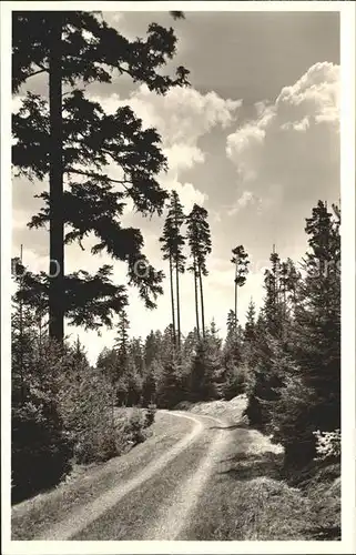 Roetenbach Baden Waldpartie Hoernle Kat. Friedenweiler