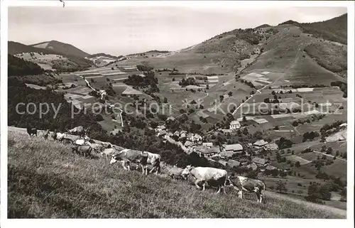 Neuenweg Gasthaus Pension zur Krone Kuehe Kat. Neuenweg