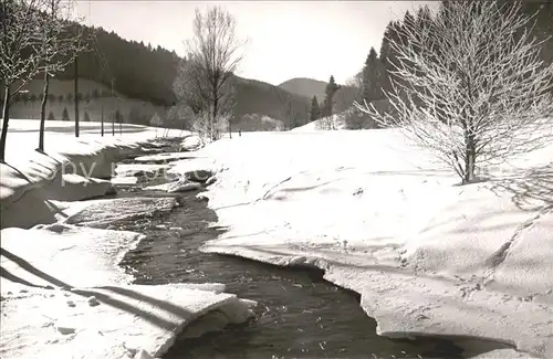 Todtmoos Bach im Schnee Kat. Todtmoos