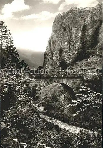 Wieden Schwarzwald Berhotel Wiedener Eck Bruecke ueber Bach Kat. Wieden