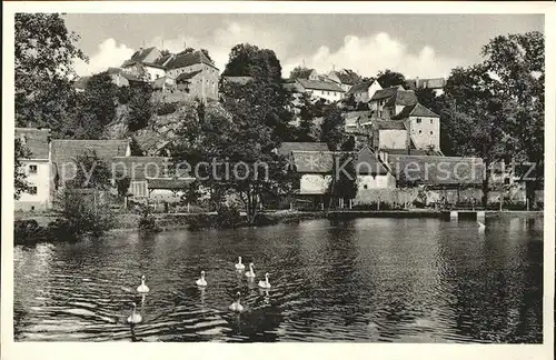 Sulzbach Rosenberg Stadtweiher Schwaene Kat. Sulzbach Rosenberg