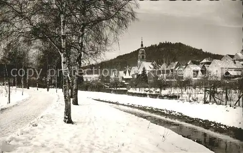 Pegnitz Flusspartie im Winter Kat. Pegnitz