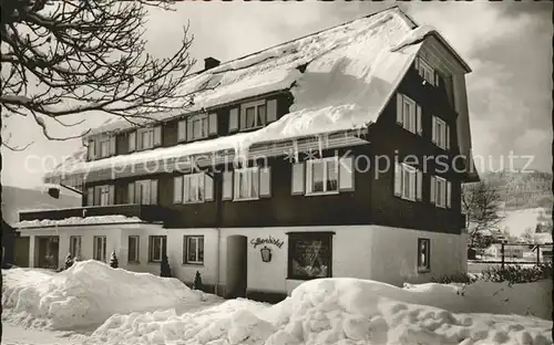 Hinterzarten Haus Silberdistel im Schnee Kat. Hinterzarten