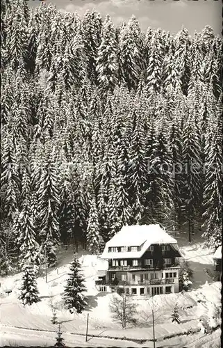 Hinterzarten Schwarzwaldsanatorium Sonnenberg im Schnee Kat. Hinterzarten