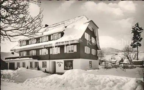 Hinterzarten Haus Silberdistel im Schnee Kat. Hinterzarten