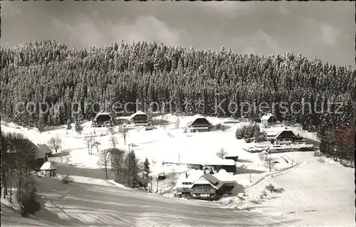 Hinterzarten Am Kesslerberg im Schnee Kat. Hinterzarten