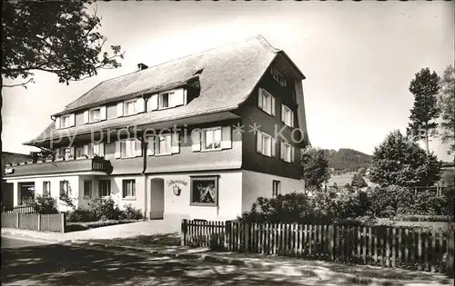 Hinterzarten Haus Silberdistel Kat. Hinterzarten