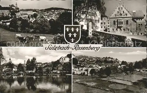 Sulzbach Rosenberg Teilansichten Schwimmbad Kirche Kuehe Teich Kat. Sulzbach Rosenberg