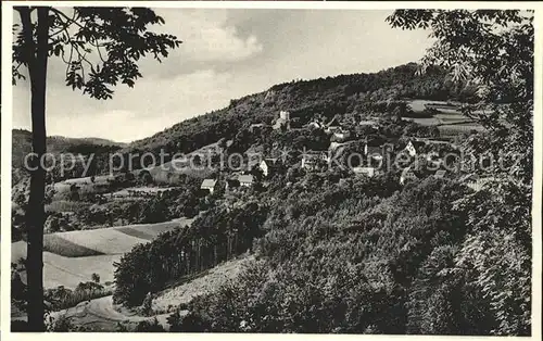 Hartenstein Mittelfranken Gasthaus Igel Schlossberg Ortsansicht  Kat. Hartenstein