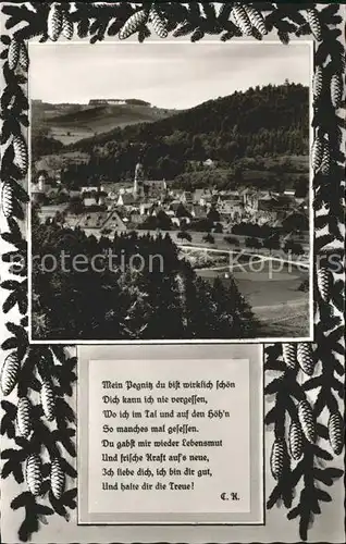 Pegnitz Ortsansicht Gedicht Kat. Pegnitz