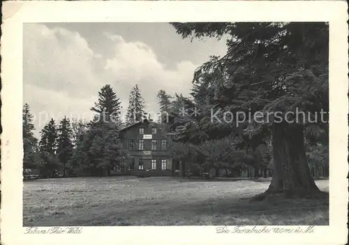 Tabarz Tanzbuche Kat. Tabarz Thueringer Wald