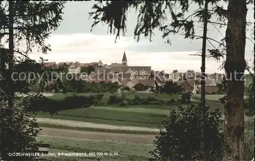 Goeschweiler Gasthaus Kranz Ortsansicht  Kat. Loeffingen