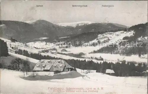 Feldberg Schwarzwald Blicki Baerental Seebuck Baldenwegerbuck Feldbergturm Kat. Feldberg (Schwarzwald)