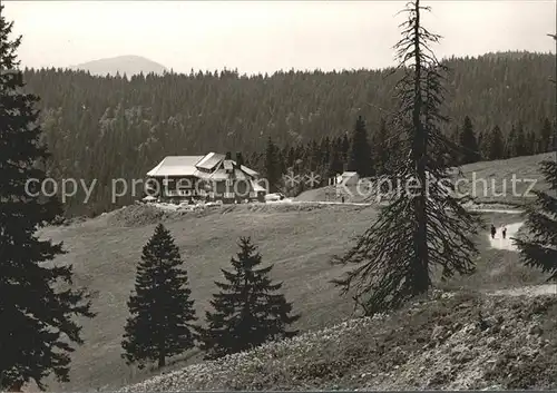 Feldberg Schwarzwald Berghotel Todtnauerhuette  Kat. Feldberg (Schwarzwald)