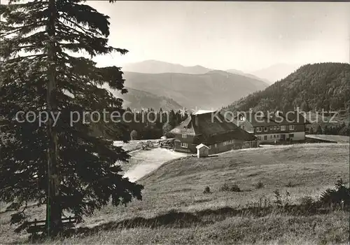 Feldberg Schwarzwald Berghotel Todtnauerhuette  Kat. Feldberg (Schwarzwald)