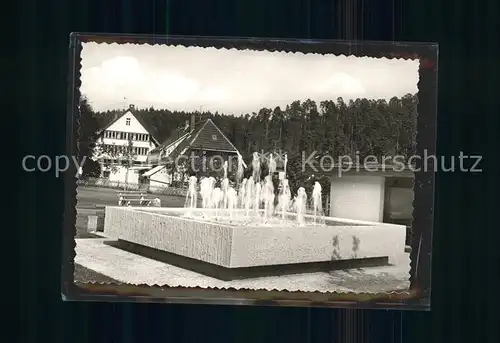 Friedenweiler Sebastian Kneipp Brunnen Kat. Friedenweiler