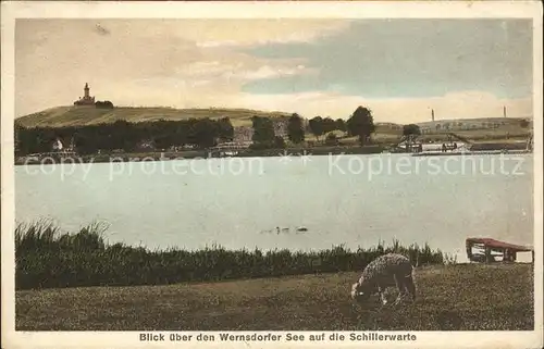 Berlin Wernsdorfer See mit Schillerwarte Schaf Kat. Berlin
