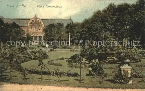 Koeln Rhein Flora Palmenhaus Kat. Koeln