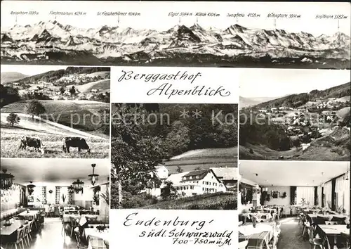 Endenburg Alpenpanorama Berggasthof Alpenblick Teilansichten Kat. Steinen