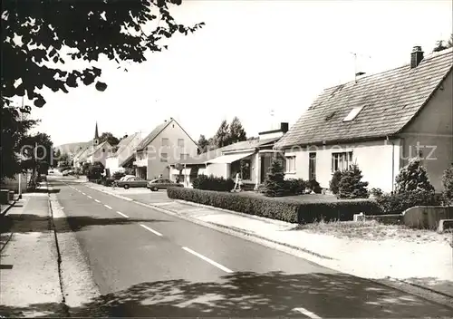 Ludwigswinkel Strassenpartie Kat. Ludwigswinkel