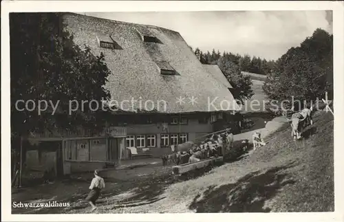 Steinen Wiesental Schwarzwaldhaus Schillig Hof Kat. Steinen