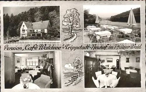Trippstadt Pension Cafe Waldsee Terrasse Speisesaal Kat. Trippstadt