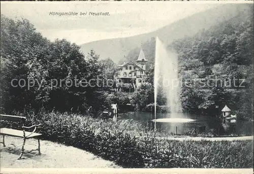 Koenigsmuehle Neustadt Weinstrasse Kurhaus Schwanenteich Springbrunnen Kat. Neustadt an der Weinstr.