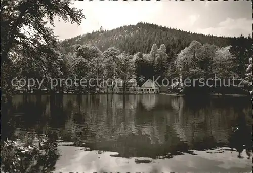 Neustadt Weinstrasse Forellenhaus Isenach Teich Kat. Neustadt an der Weinstr.