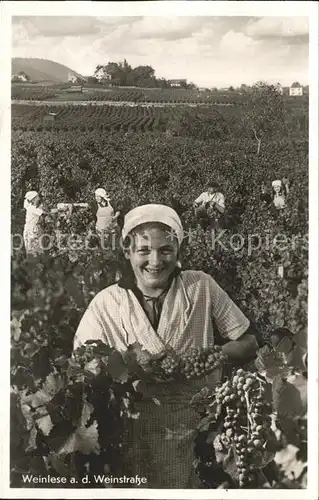 Neustadt Weinstrasse Weinlese Frauen Kat. Neustadt an der Weinstr.