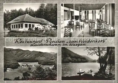 Lauterschwan Restaurant Pension Weidenkorb Schwanenteich Teilansicht Kat. Erlenbach bei Dahn
