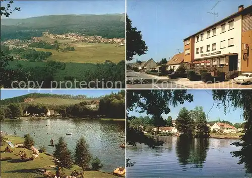 Ludwigswinkel See Restaurant Pension Ortsansicht Kat. Ludwigswinkel