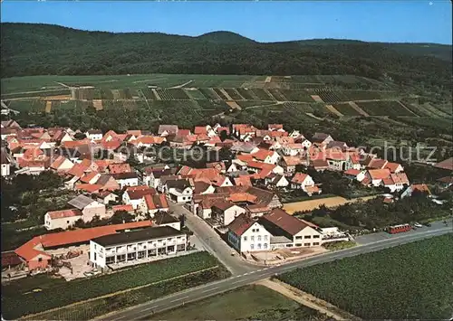 Schweigen Rechtenbach Fliegeraufnahme Hotel Restaurant Kat. Schweigen Rechtenbach