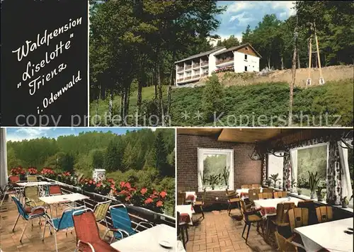 Trienz Waldpension Liselotte Terrasse Speisesaal  Kat. Fahrenbach