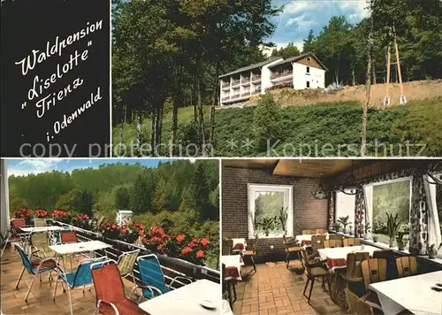 Trienz Waldpension Liselotte Terrasse Speisesaal  Kat. Fahrenbach