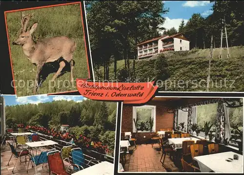 Trienz Waldpension Liselotte Terrasse Speisesaal Rehkind Kat. Fahrenbach