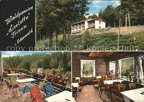 Trienz Waldpension Liselotte Terrasse Speisesaal Kat. Fahrenbach