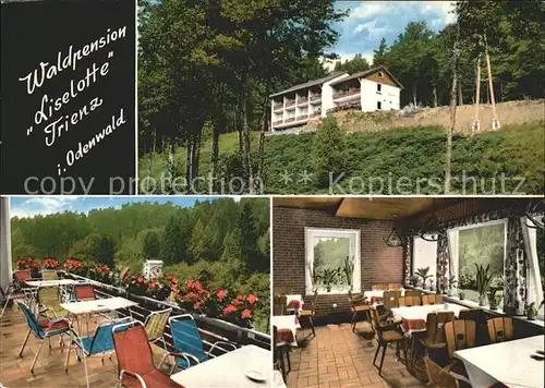 Trienz Waldpension Liselotte Terrasse Speisesaal Kat. Fahrenbach