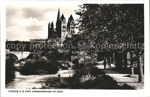 Limburg Lahn Lahnpromenade mit Dom Kat. Limburg a.d. Lahn