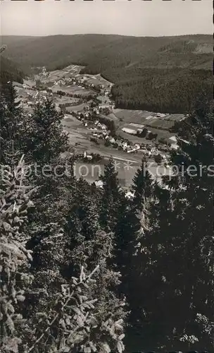 Tonbach Gasthaus Pension Waldlust Kat. Baiersbronn