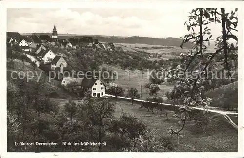 Dornstetten Wuerttemberg Blick vom Muehlebachtal Kat. Dornstetten