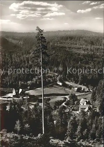 Hinterlangenbach Baiersbronn Forsthaus Auerhahn Kat. Baiersbronn