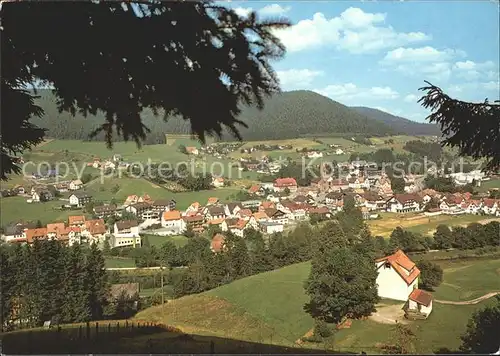 Mitteltal Schwarzwald  Kat. Baiersbronn