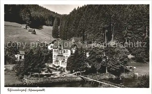 Schoenmuenzach Hotel Waldhorn Kat. Baiersbronn