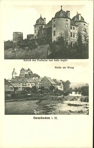 Gemuenden Hunsrueck Schloss Freiherrn Salis Sogliv Woog Kat. Gemuenden