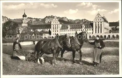 Beuron Donautal Erzabtei Klosterbruder Feldarbeit Pferde / Beuron /Sigmaringen LKR